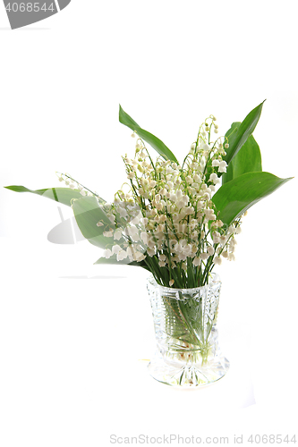 Image of lily of valley