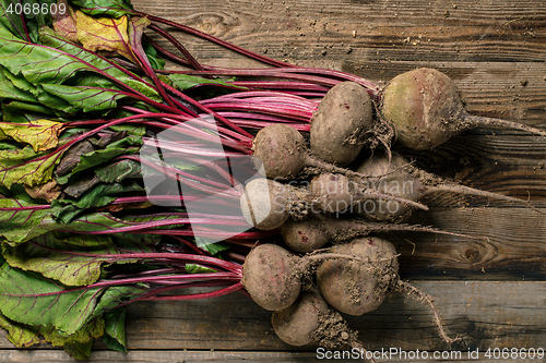 Image of Beetroot with leaves and stems