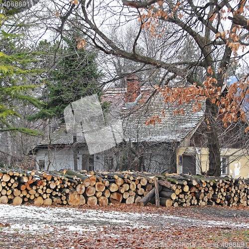 Image of Fire Wood