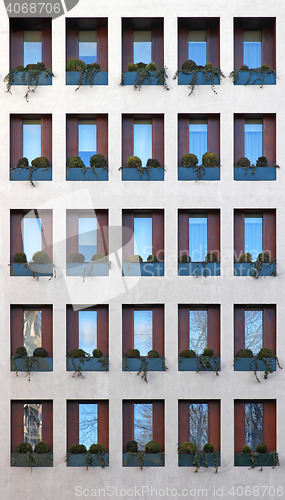 Image of Windows