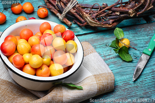 Image of autumn cherry plum