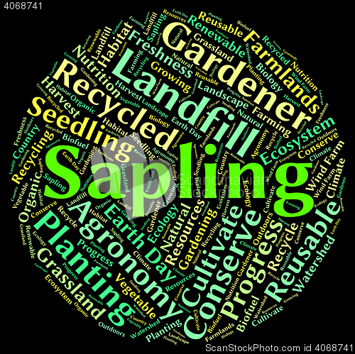 Image of Sapling Word Means Tree Trunk And Cultivate