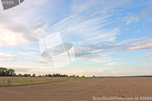 Image of Summer landscape