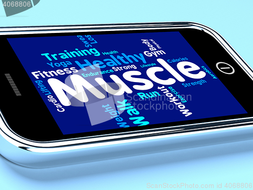 Image of Muscle Words Represents Weight Lifting And Dumbbell