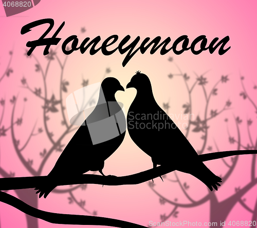 Image of Honeymoon Doves Means Love Birds And Break