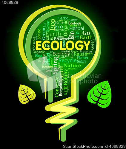 Image of Ecology Words Represents Light Bulb And Earth
