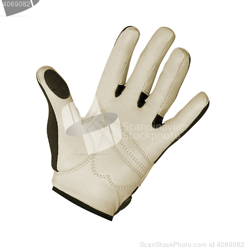 Image of Golf Glove