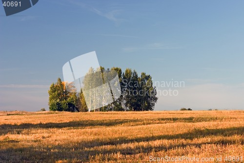 Image of Summer landscape