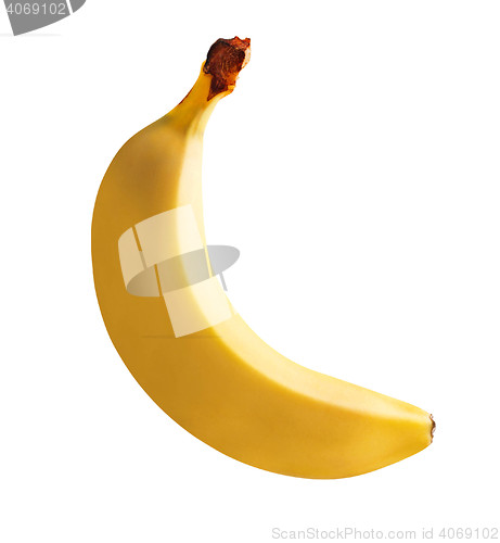 Image of Single banana isolated