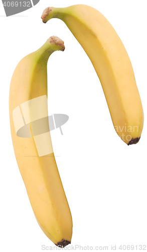 Image of Two ripe bananas