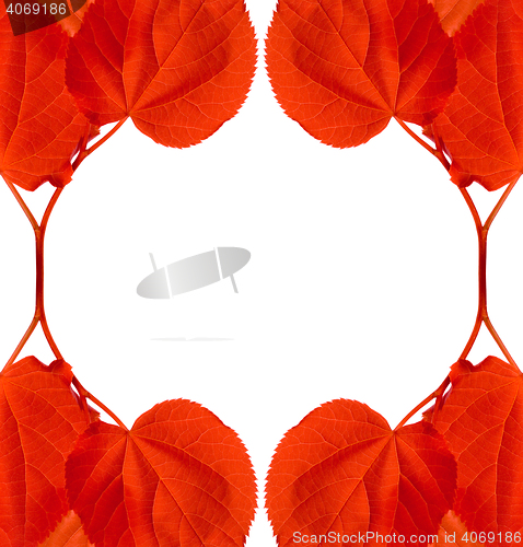 Image of Frame of red autumn leaves