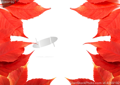 Image of Frame of autumn leaves background with copy space