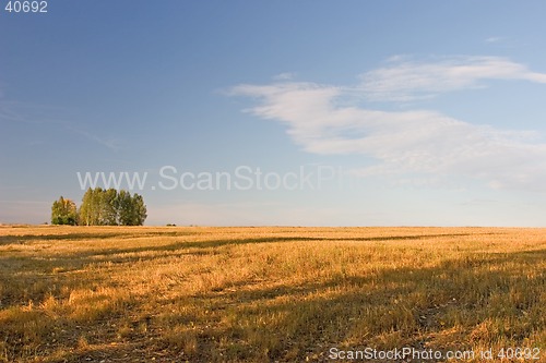 Image of Summer landscape