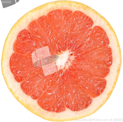 Image of Grapefruit