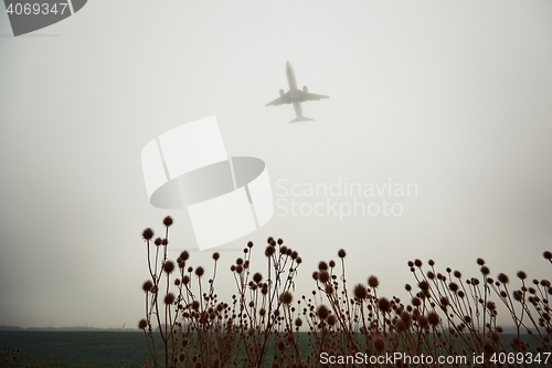 Image of Airplane in thick fog