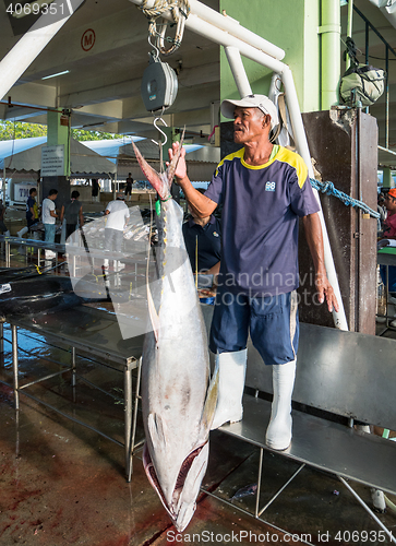 Image of Yellowfin tuna being weighed