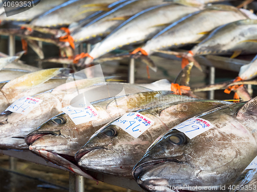 Image of The Tuna Harbor in General Santos City