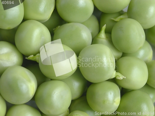 Image of Pea