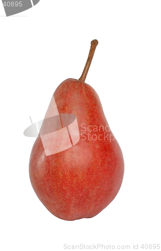 Image of Pear