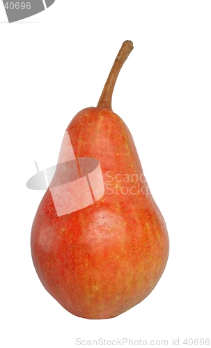 Image of Pear