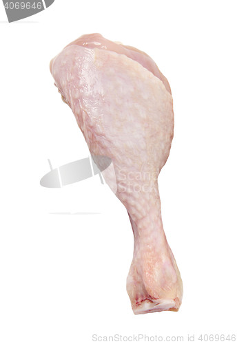 Image of Fresh chicken drumstick on white