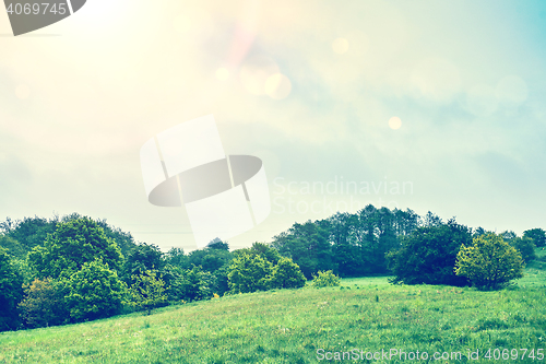 Image of Green fields with trees