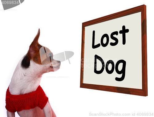 Image of Lost Dog Sign Showing Missing Or Runaway Puppy