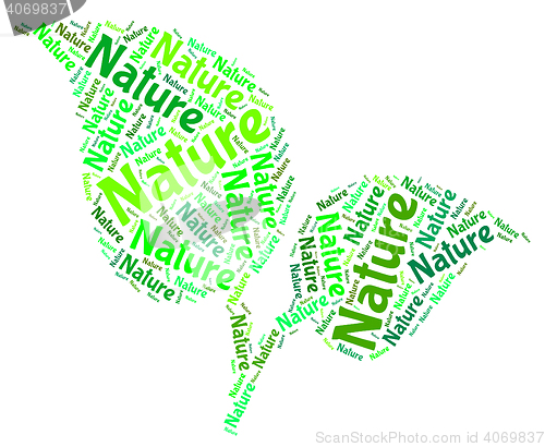 Image of Nature Word Means Environment Environmental And Tree