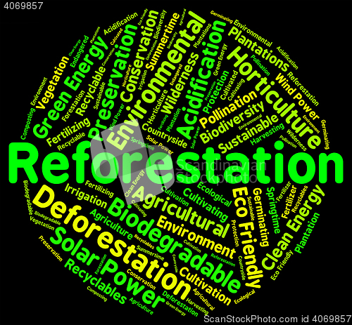 Image of Reforestation Word Shows Again Woodlands And Words