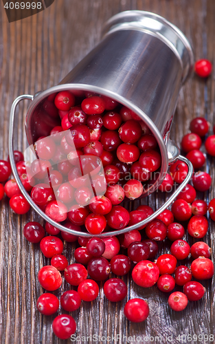 Image of fresh cranberry