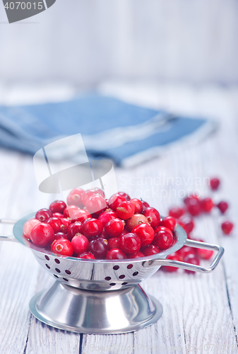Image of fresh cranberry