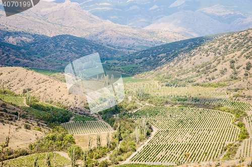 Image of Beautiful valley with trees, hills and mountain on sunny day