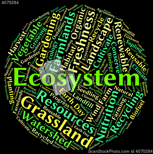 Image of Ecosystem word shows eco biosystem and ecology