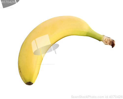 Image of Single banana isolated on white