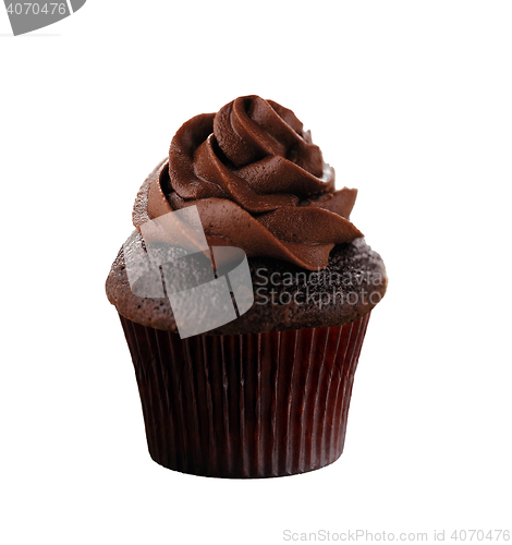 Image of Delicious Chocolate Cupcake