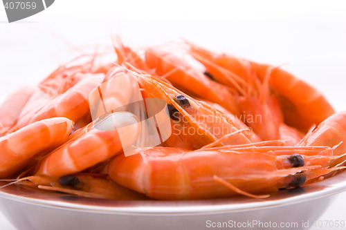 Image of Prawns