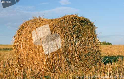 Image of Hayrick, haystack