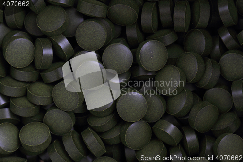 Image of chlorella vulgaris tabs