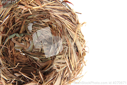 Image of small straw nestle