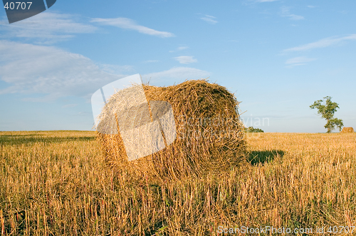 Image of Hayrick, haystack