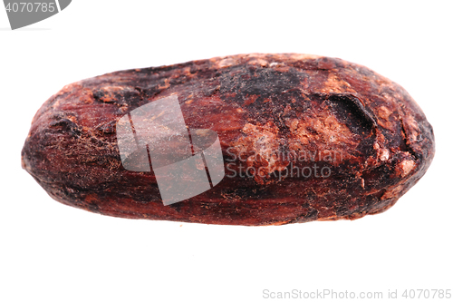 Image of detail of cocoa bean 