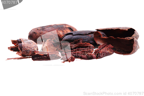 Image of detail of cocoa bean 