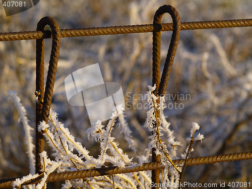 Image of Frost