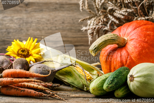 Image of Autumn rustic vegetables