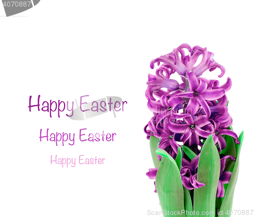 Image of Easter Greeting Card