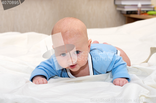 Image of Baby explores the world