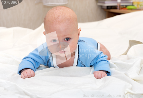 Image of Baby explores the world