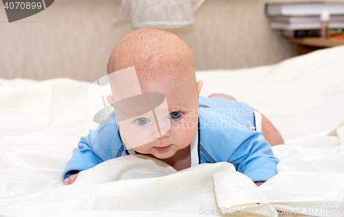 Image of Baby explores the world