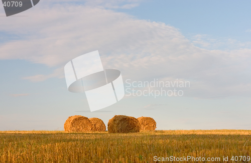 Image of Hayrick, haystack