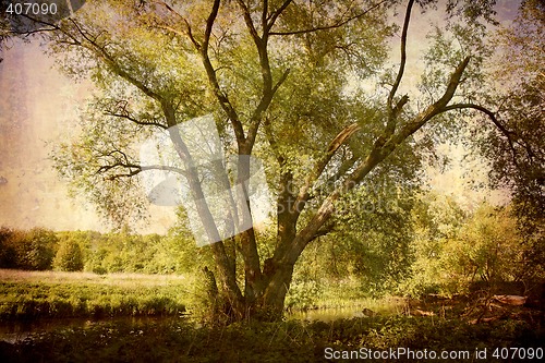 Image of Postcard from Denmark (Series)